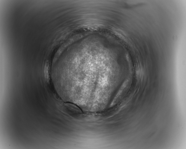 X0000088361060200706051019