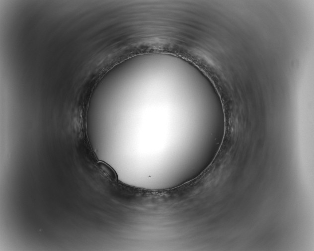 X0000088361062200706051019