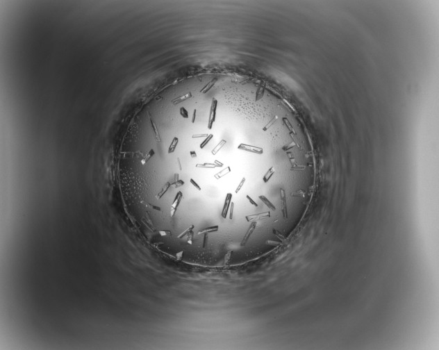 X0000088361063200706051019