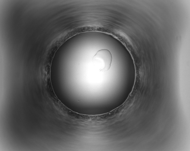 X0000088361064200706051019