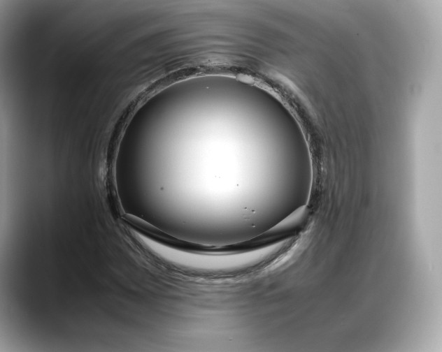 X0000088361065200706051019