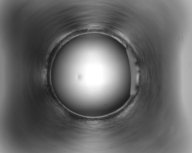 X0000088361066200706051019