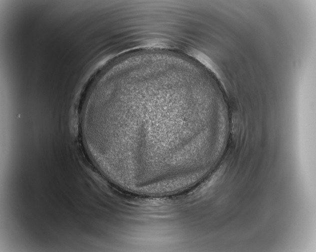 X0000088361067200706051019