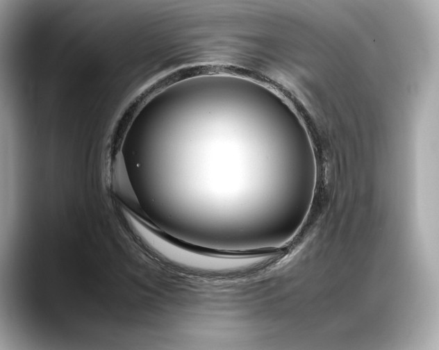 X0000088361069200706051019