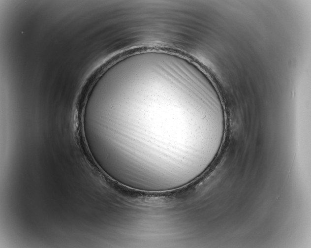 X0000088361070200706051019