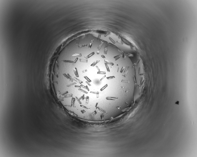 X0000088361071200706051019