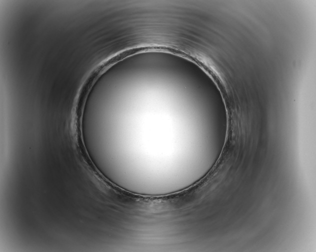 X0000088361072200706051019