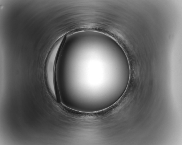 X0000088361073200706051019