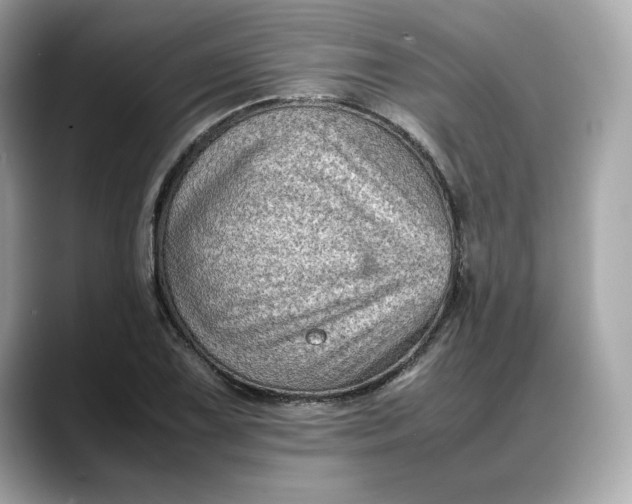 X0000088361075200706051019