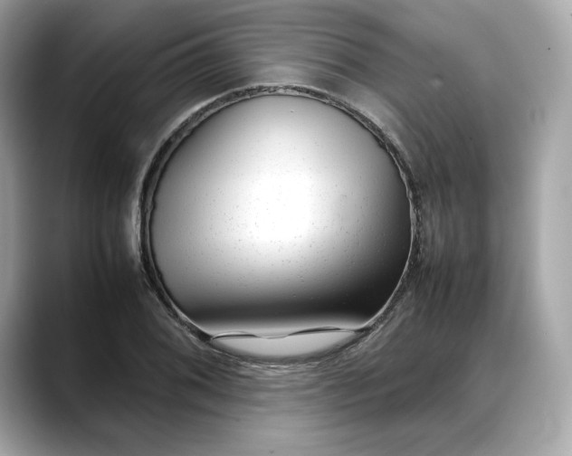 X0000088361076200706051019