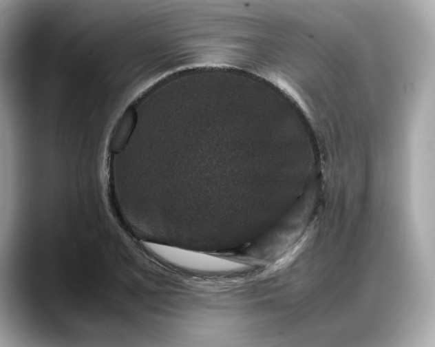 X0000088361077200706051019