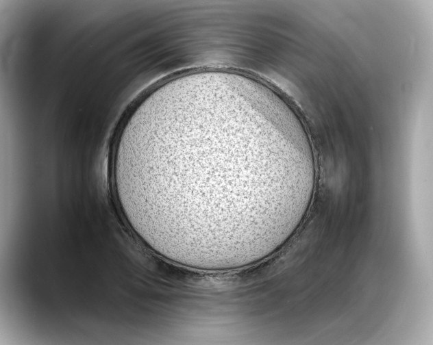 X0000088361078200706051019