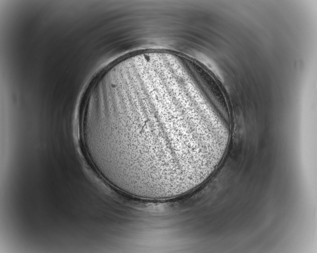 X0000088361080200706051019