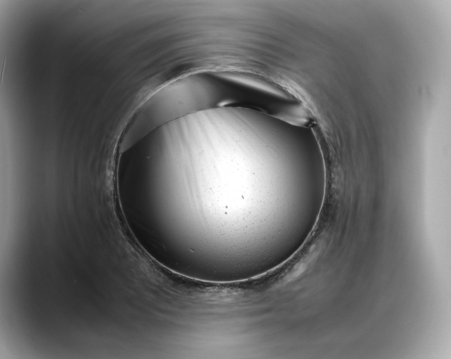 X0000088361081200706051019