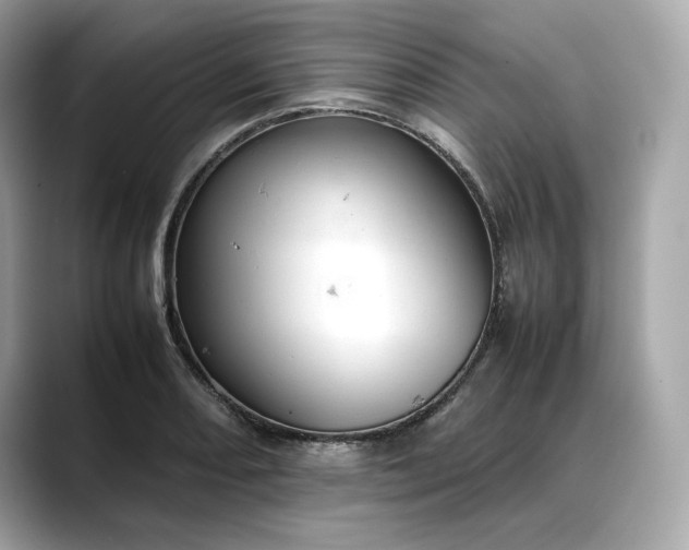 X0000088361082200706051019