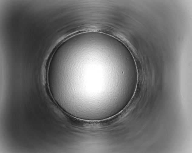 X0000088361083200706051019