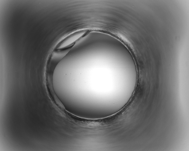 X0000088361085200706051019