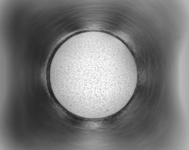 X0000088361086200706051019