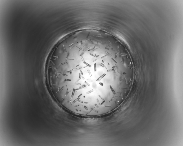 X0000088361087200706051019