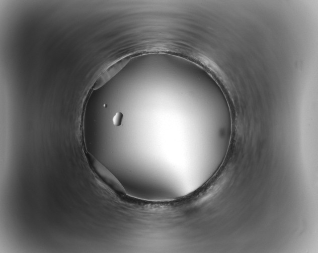 X0000088361089200706051019