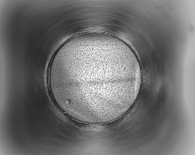 X0000088361090200706051019