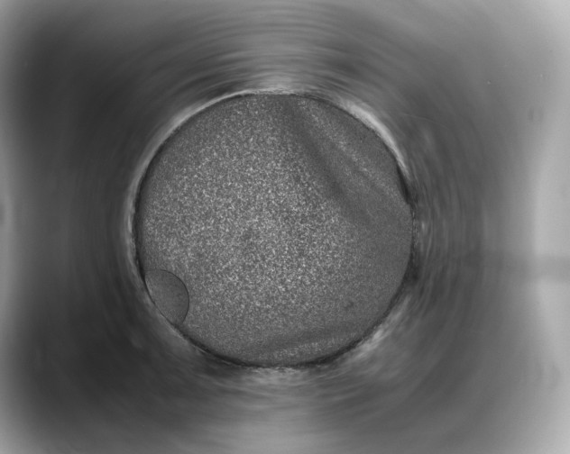 X0000088361091200706051019