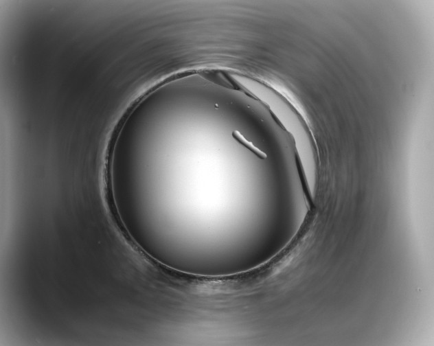 X0000088361093200706051019