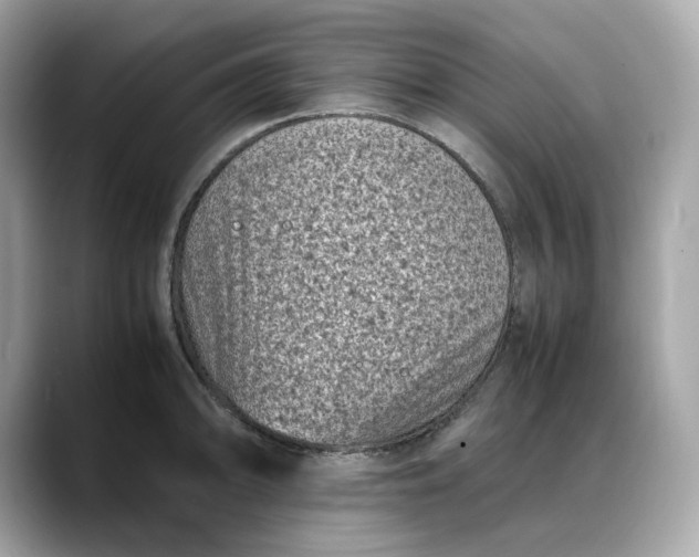 X0000088361094200706051019