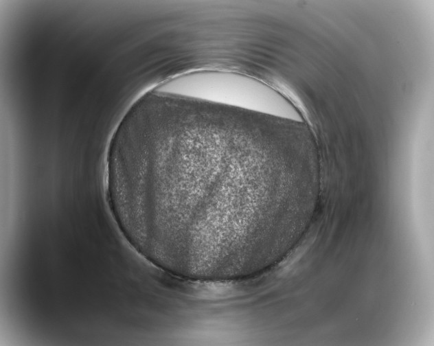 X0000088361095200706051019