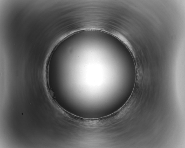 X0000088361096200706051019