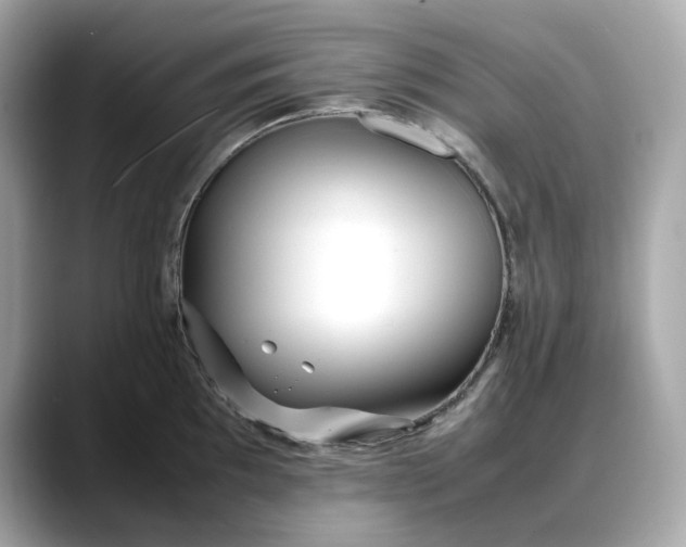 X0000088361097200706051019