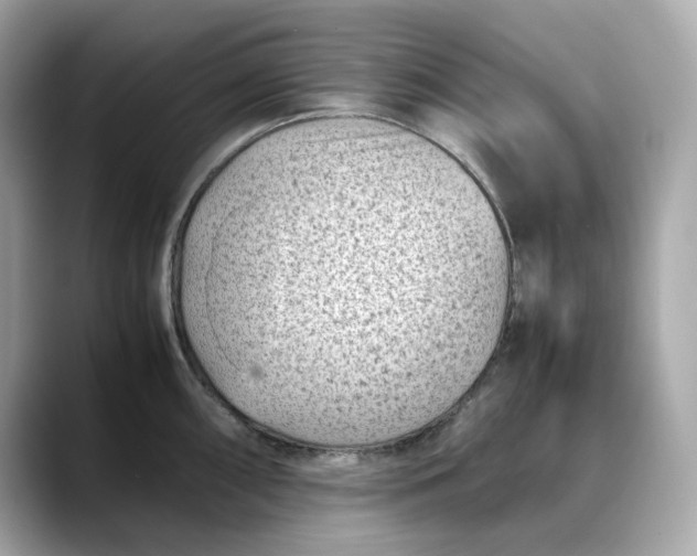 X0000088361098200706051019