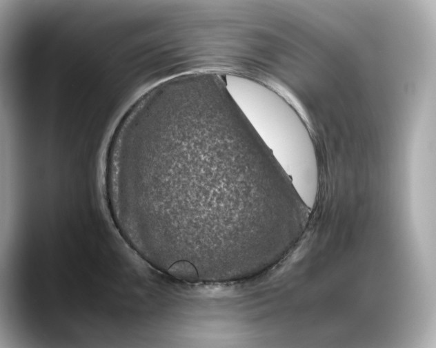 X0000088361099200706051019