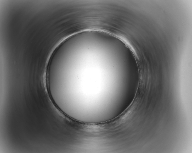 X0000088361100200706051019