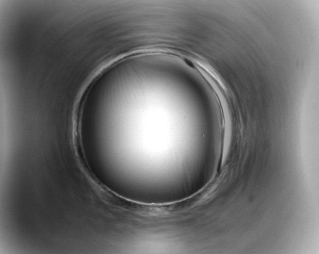 X0000088361101200706051019