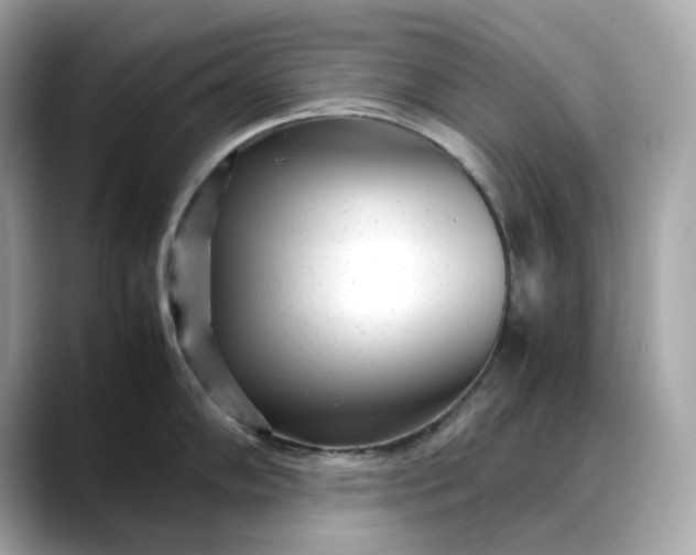 X0000088361102200706051019