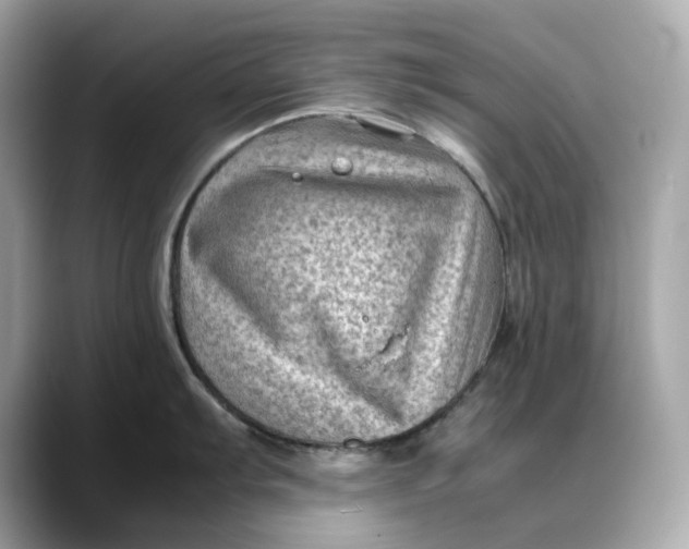 X0000088361103200706051019