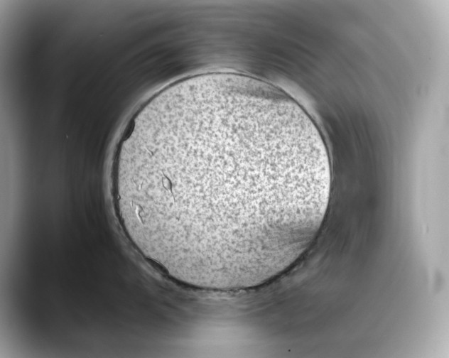 X0000088361104200706051019