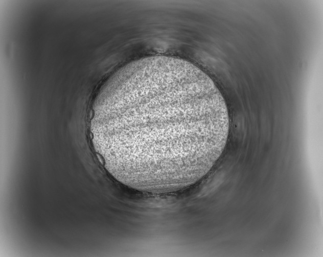 X0000088361105200706051018