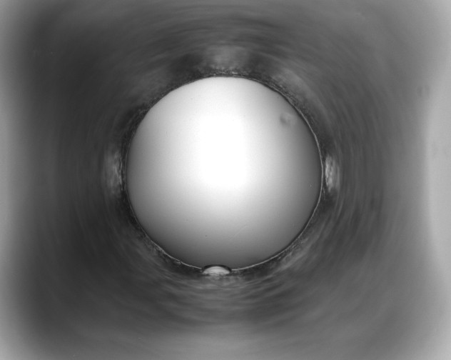 X0000088361107200706051018