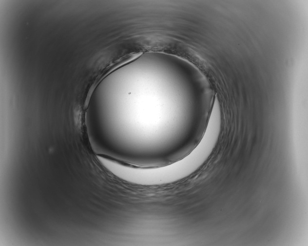 X0000088361108200706051018