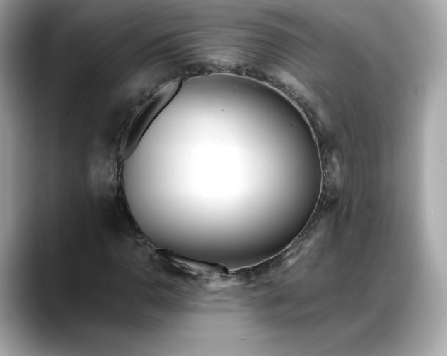 X0000088361110200706051018