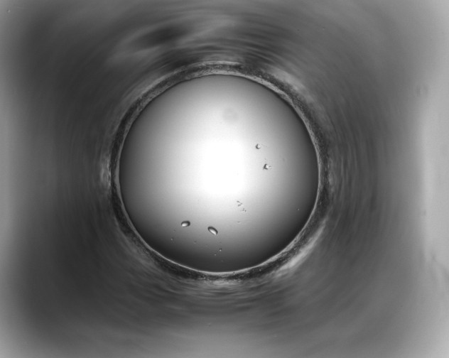 X0000088361113200706051018