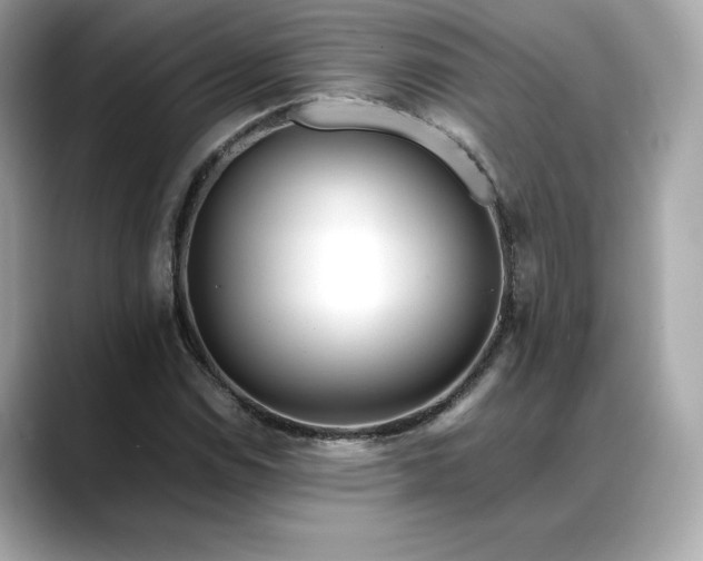 X0000088361114200706051018