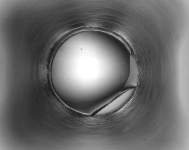 X0000088361115200706051018