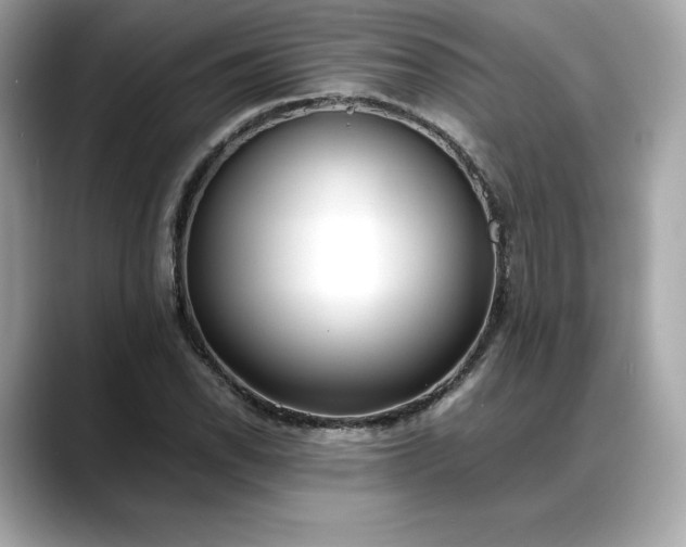 X0000088361118200706051018