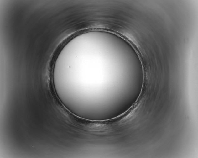 X0000088361119200706051018