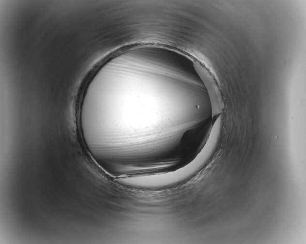 X0000088361120200706051018