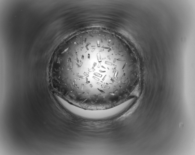 X0000088361121200706051018