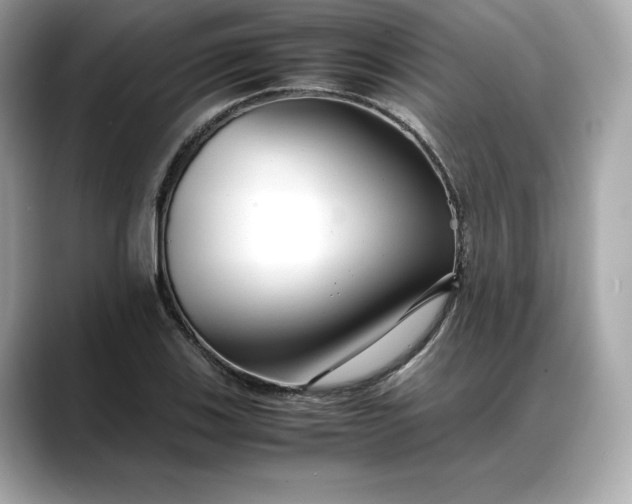 X0000088361123200706051018